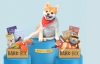 Dog Toys, Treats & Gifts Every Month: BarkBox